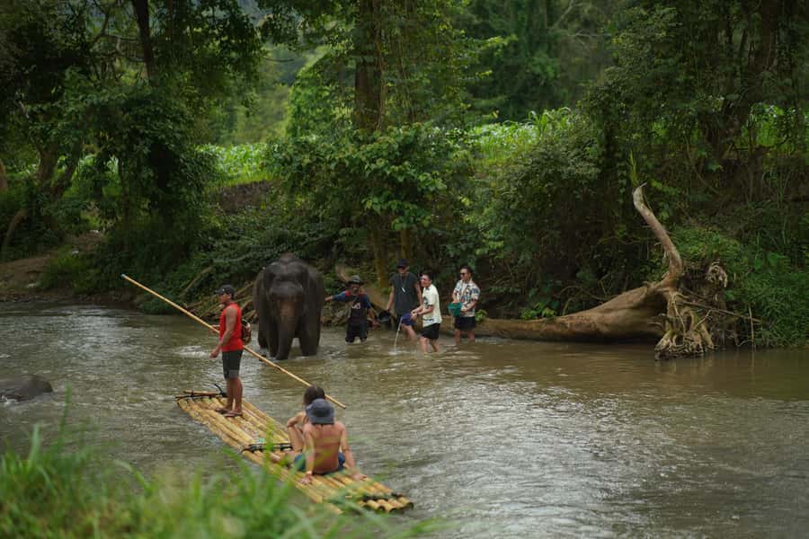 Chiang Mai: ATV Adventure 2-Hrs,Feeding,Rafting & Lunch Trip - What the price covers, and how to judge the value