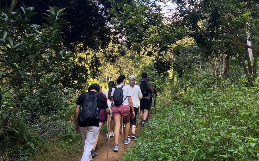 Chiang Mai: ATV Adventure, Jungle Hike & White Water Rafting - Guides and organization: why the day feels smooth