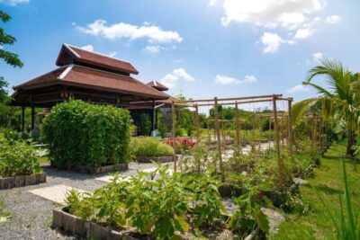 Authentic Cooking Class with Market & Farm Visit