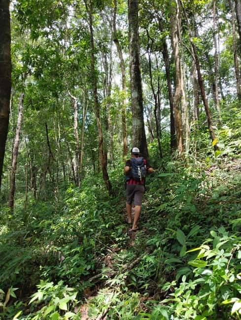 Chiang Mai Authentic Trekking - Season check: when the trek will be hot or wet