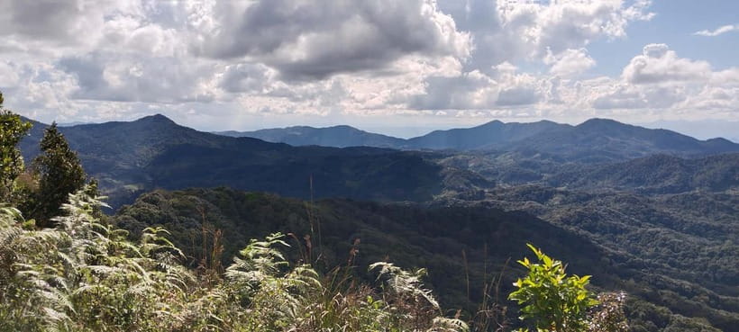 Chiang Mai Authentic Trekking - Your day from 7:45 AM pickup to the 5 to 6 PM return