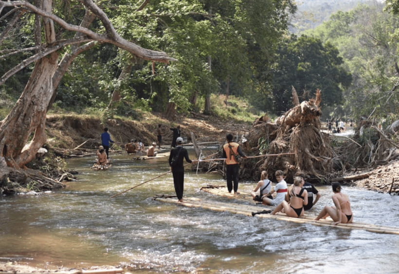 Chiang Mai: Bamboo Rafting with Hotel Transfers - Elephants in the Wild-Style Experience, Plus What Might Cost Extra