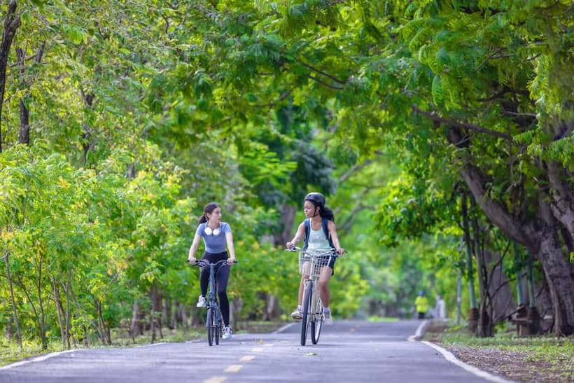 Chiang Mai Bicycle: Into The Lanna Countryside Guided Tour - Bikes, helmets, and the e-bike option if you want it easier