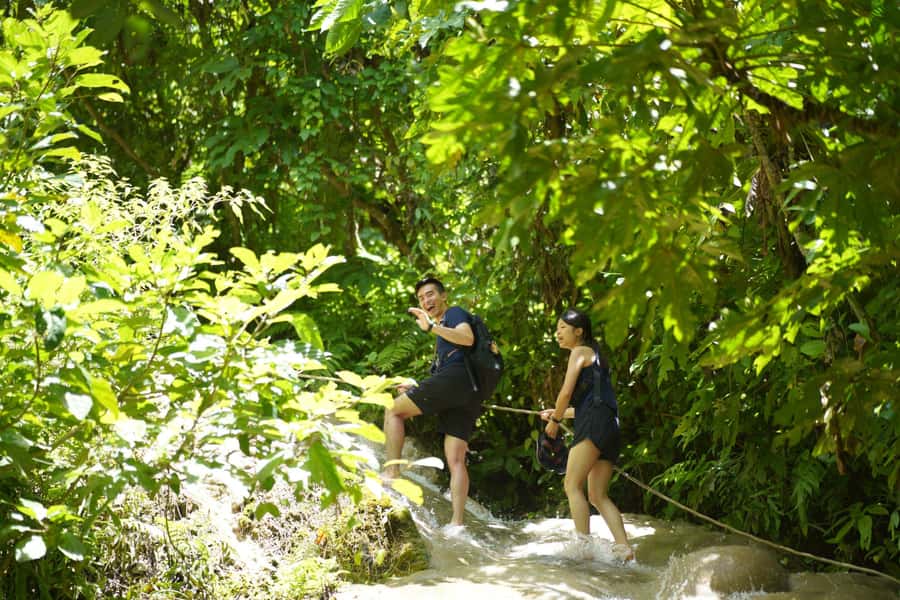 Chiang Mai: Bua Thong Sticky Waterfall & Huge Cave & Buffet - Sticky Waterfall and Bua Tong Cave, A Day With Two Very Different Climbs
