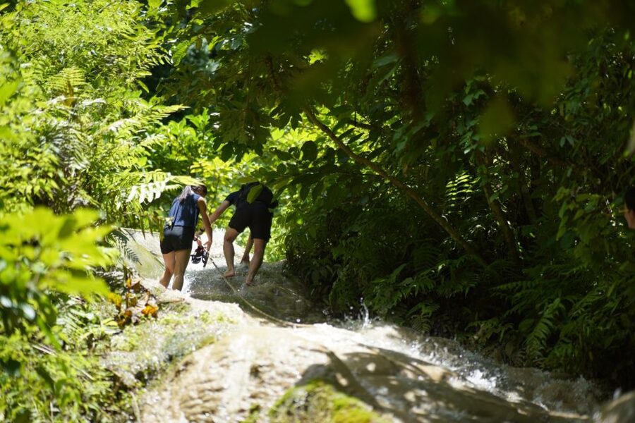 Chiang Mai: Bua Thong Sticky Waterfall & Huge Cave & Buffet - What to Pack: Water Shoes, Towel, and Wet-Rock Reality