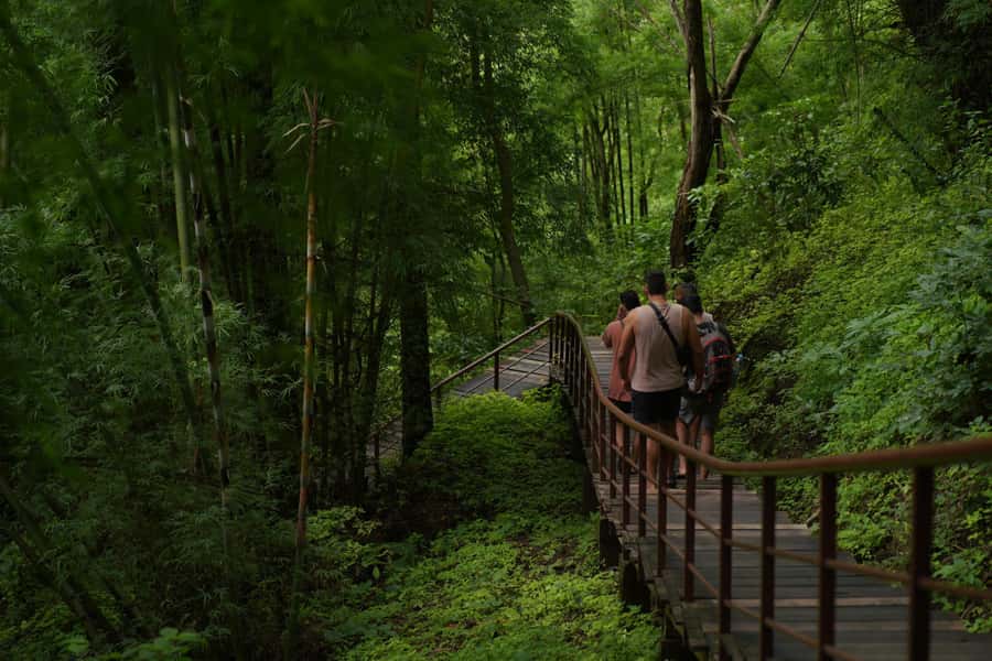 Chiang Mai: Bua Thong Sticky Waterfall & Huge Cave & Buffet - The Role of Your English-Speaking Guide, and Why It Changes the Whole Day