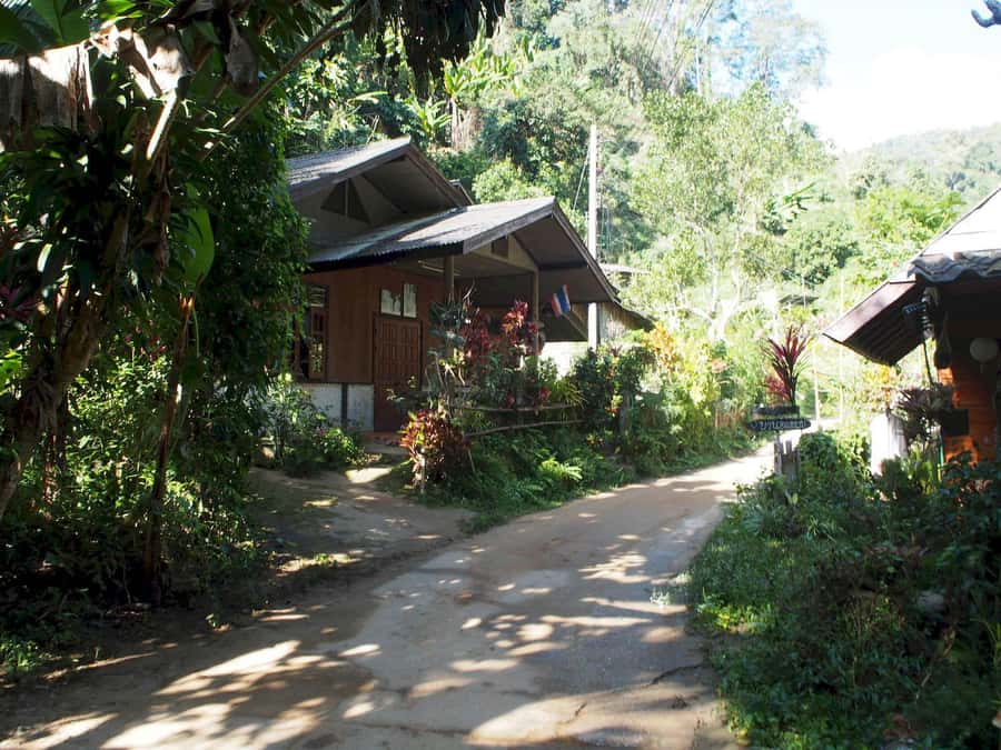 Chiang Mai: Chiang Dao Caves and Jungle Trek with Lunch - 7:30 AM pickup, market lunch, and how the day gets moving