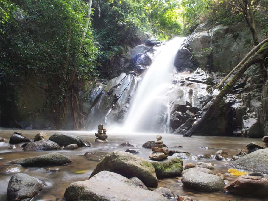 Chiang Mai: Chiang Dao Caves and Jungle Trek with Lunch - What you really get for the $109 price