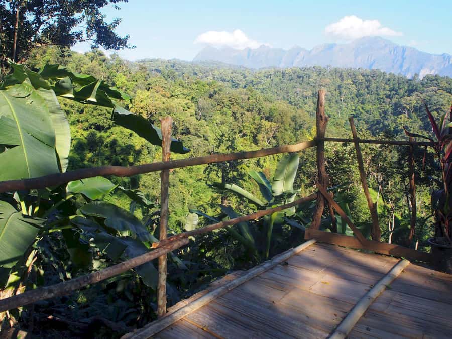 Chiang Mai: Chiang Dao Caves and Jungle Trek with Lunch - Should you book this Chiang Dao caves and jungle day?
