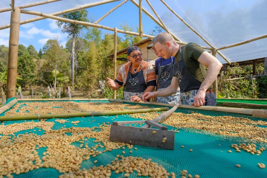 Chiang Mai Coffee Full Day Tour: Trek, Brew & Roast Journey. - Farm-to-table vegetarian lunch, hill tribe recipes style