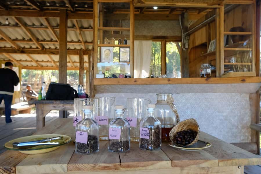 Chiang Mai Coffee Full Day Tour: Trek, Brew & Roast Journey. - Price and value: what $118 gets you (and what you should compare)