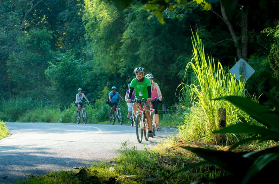 Chiang Mai Countryside E-bike Ride with Expert Guide & Lunch - Who this Chiang Mai countryside e-bike ride is for