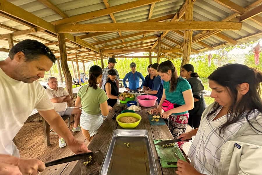 Chiang Mai: Day for Elephant Observation Only Half-day Trip - Big Boy’s ethics: no-control elephant rules you can actually feel