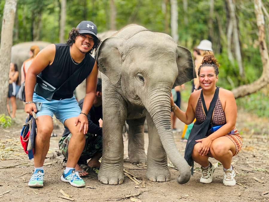 Chiang Mai: Doi Inthanon and Elephant Sanctuary Tour - Wachirathan Waterfall: misty air and big scale