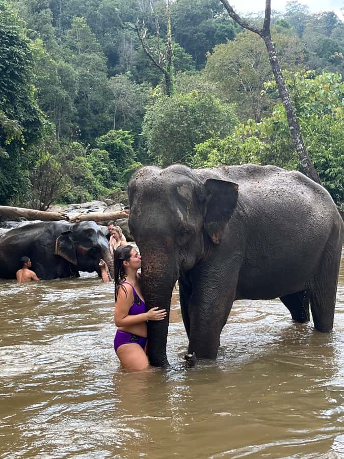 Chiang Mai: Doi Inthanon and Elephant Sanctuary Tour - Doi Inthanon National Park: peak vibes and a fern forest walk