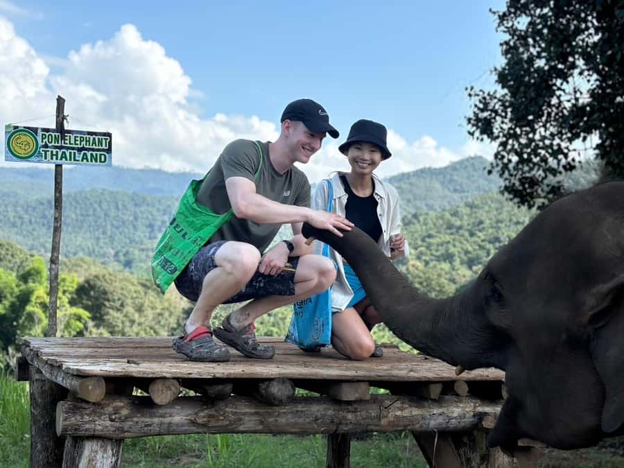 Chiang Mai: Doi Inthanon and Elephant Sanctuary Tour - Forest hike with elephants: seeing the herd in motion