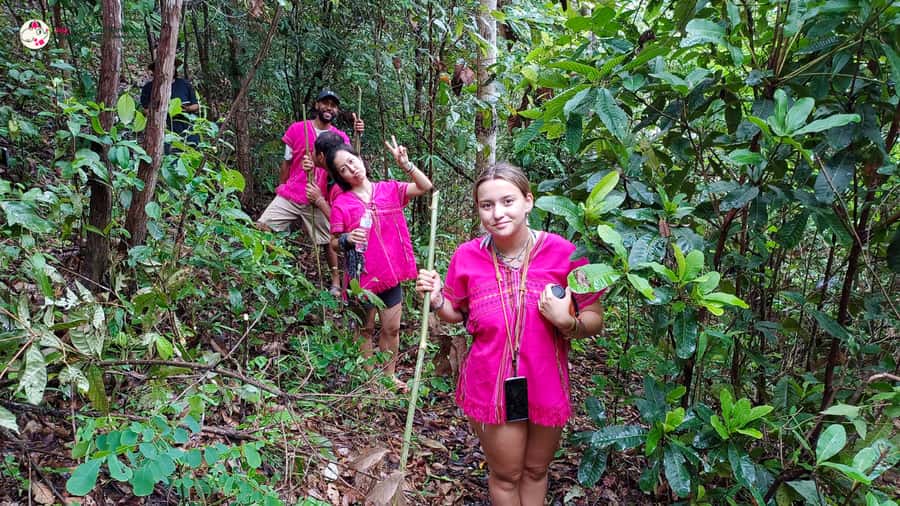 Chiang Mai: Doi Inthanon and Elephant Sanctuary Tour & Hike - Who this tour is best for, and who should reconsider