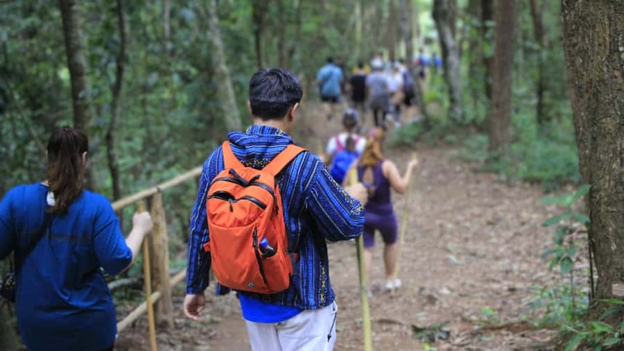 Chiang Mai: Doi Inthanon and Elephant Sanctuary Tour & Hike - From Chiang Mai pickup to Mae Wang District views