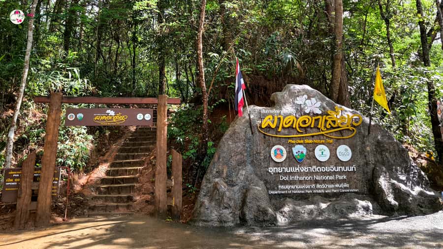 Chiang Mai: Doi Inthanon and Elephant Sanctuary Tour & Hike - Waterfall and jungle rhythm at Doi Inthanon National Park