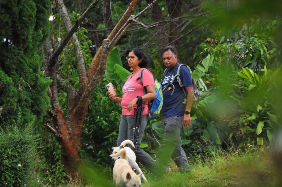 Chiang Mai: Doi Inthanon Highlights Small Group Tour - Karen Village Coffee, Lunch, and a Slow Look Around