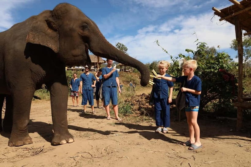 Chiang Mai: Doi Inthanon Hiking & Elephant Sanctuary Program - Key takeaways before you go
