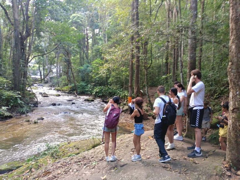 Chiang Mai: Doi Inthanon Hiking & Elephant Sanctuary Program - Organic Karen hilltribe coffee farm: a culture and taste stop that makes sense