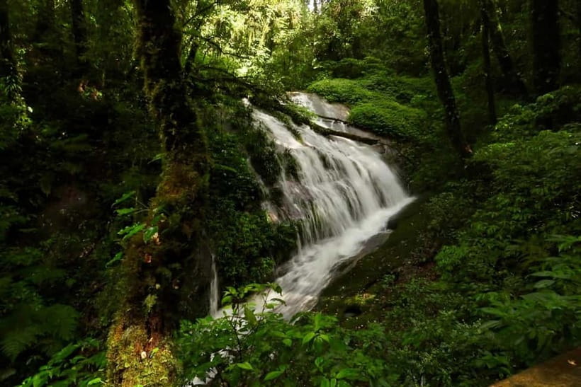 Chiang Mai: Doi Inthanon National Park and Kew Mae Pan Tour - How the day feels in real life: packed stops, stairs, and guide pacing