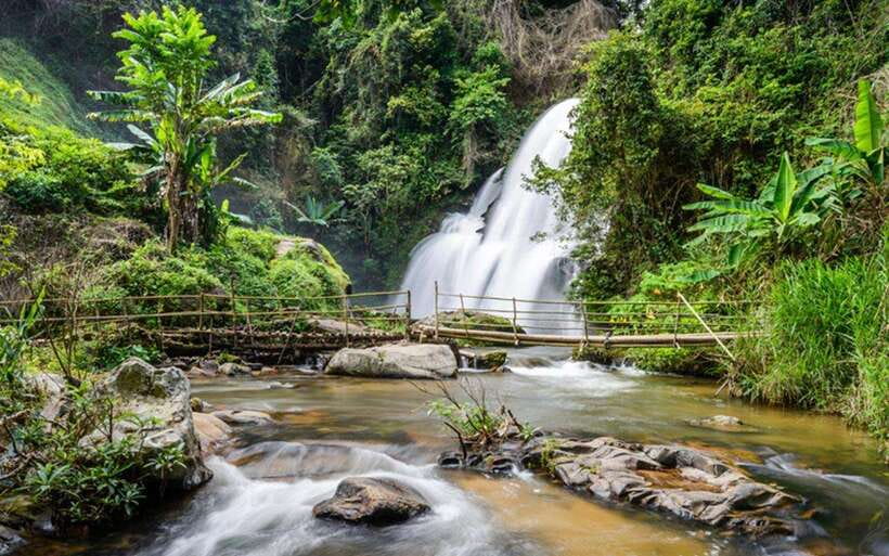 Chiang Mai: Doi Inthanon National Park and Pha Dok Siew Trek - Key highlights to watch for