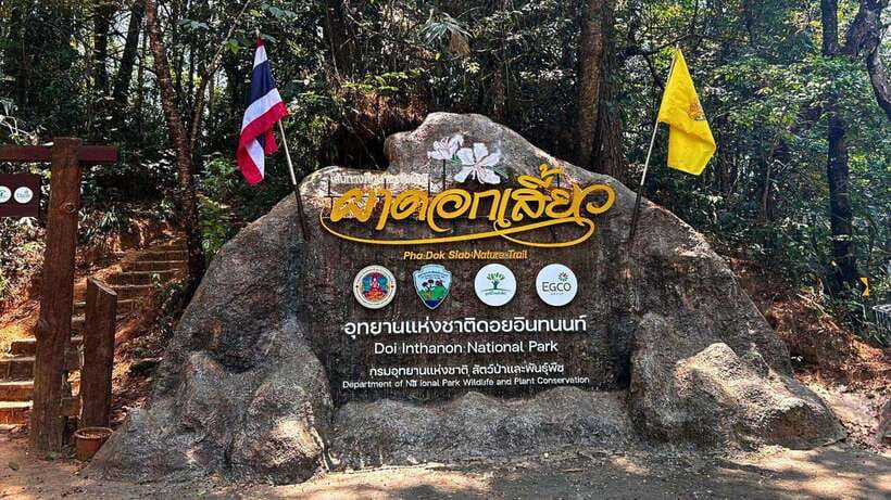 Chiang Mai: Doi Inthanon National Park and Pha Dok Siew Trek - Doi Inthanon National Park: highest peak views, cool air, and photo time