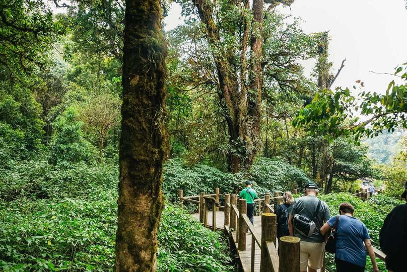 Chiang Mai: Doi Inthanon National Park Eco-Friendly Tour - Key highlights worth planning around