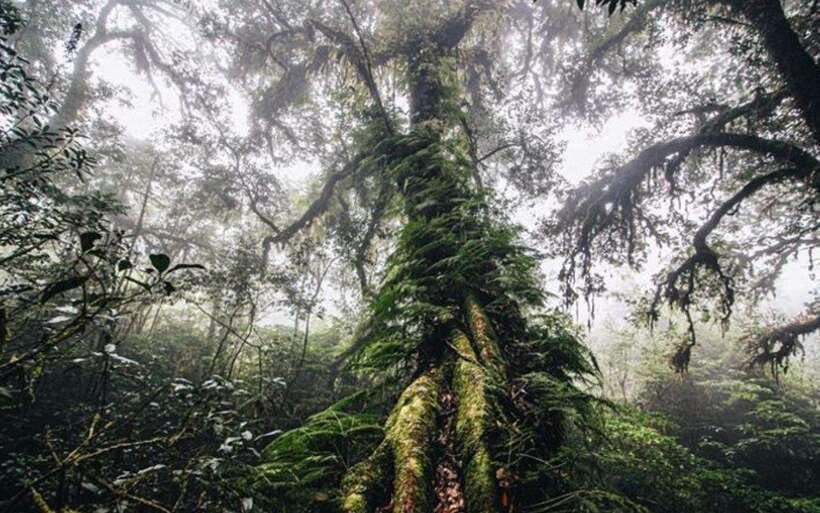 Chiang Mai: Doi Inthanon National Park Sightseeing Only - Transportation Rhythm, Timing, and Group Size
