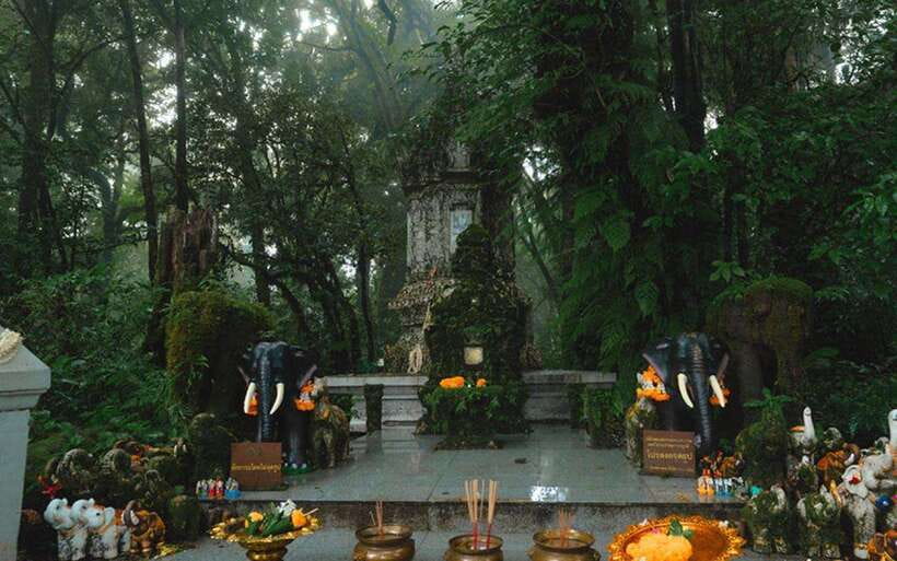 Chiang Mai: Doi Inthanon National Park Sightseeing Only - Price, Entrance Fees, and Real Value for $39