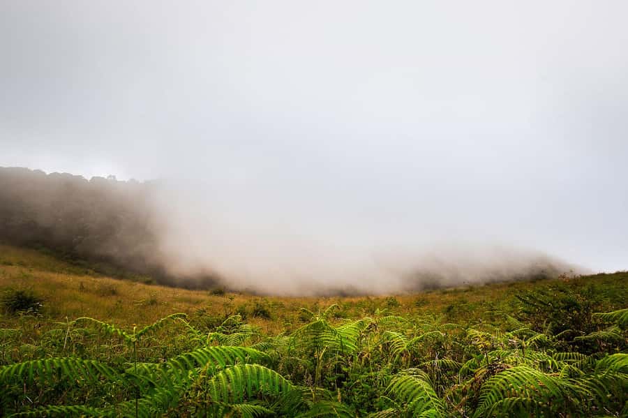 Chiang Mai: Doi Inthanon National Park, Waterfall & Lunch - The Walk and Viewpoints: Roof of Thailand in Real Life