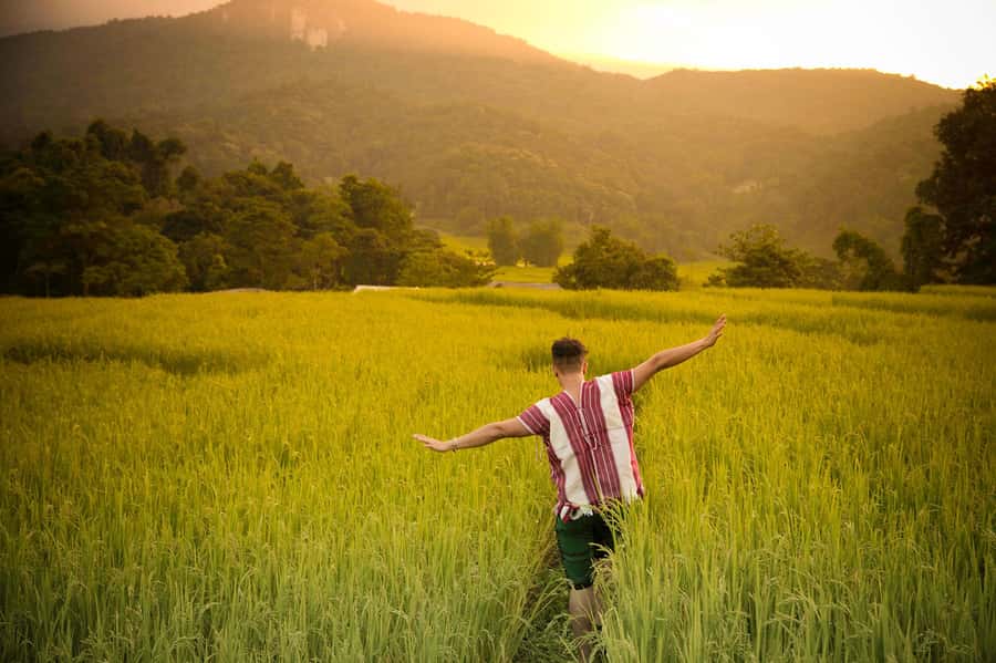 Chiang Mai: Doi Inthanon National Park, Waterfall & Lunch - Karen Village Lunch: A Cultural Pause That Makes the Day Human