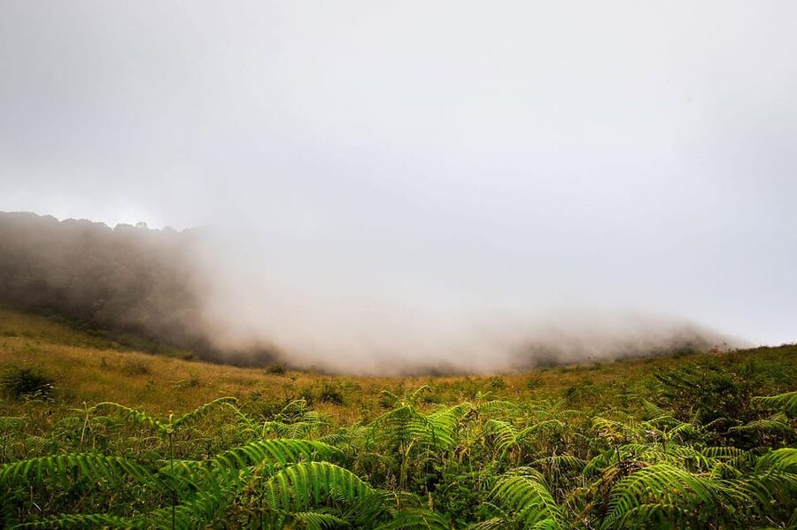 Chiang Mai: Doi Inthanon National Park, Waterfall & Lunch - King and Queen Pagodas: The Dress Code Stop You Must Not Skip