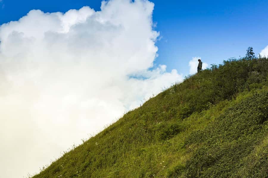 Chiang Mai: Doi Inthanon National Park, Waterfall & Lunch - Pacing and Walking Level: Short Walks, Many Stops
