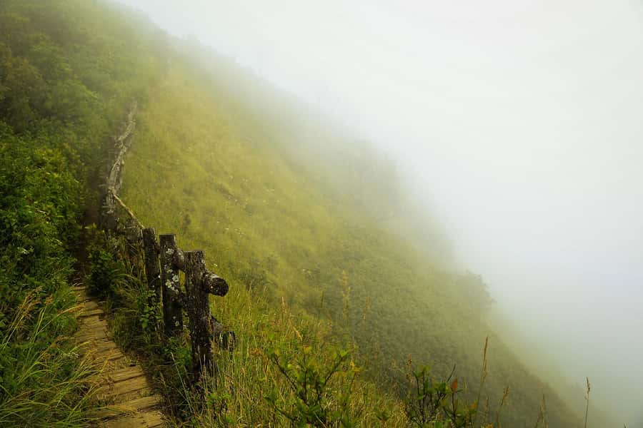 Chiang Mai: Doi Inthanon National Park, Waterfall & Lunch - Pickup, Drive, and the Morning Rhythm From Chiang Mai