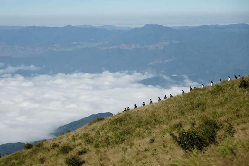 Chiang Mai: Doi Inthanon Park and Kew Mae Pan 2-Hour Hike - Why Doi Inthanon’s 2,565-meter summit feels like a reset