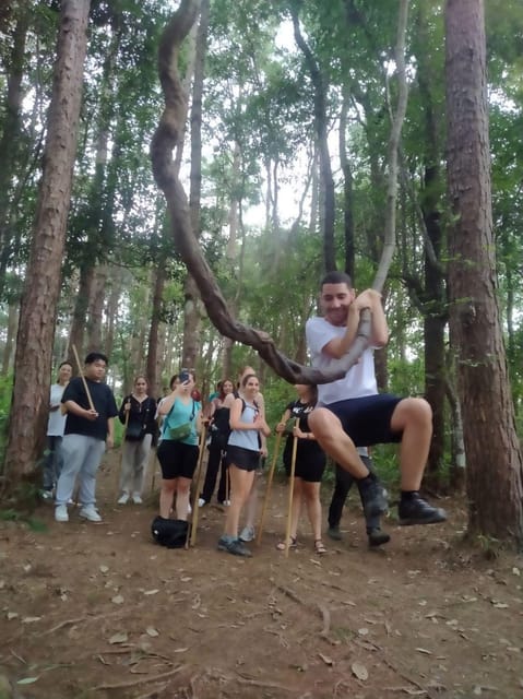 Chiang Mai: Doi Inthanon Park and Pha Dok Siew Hike Day Trip - Price and What It Really Covers for $62