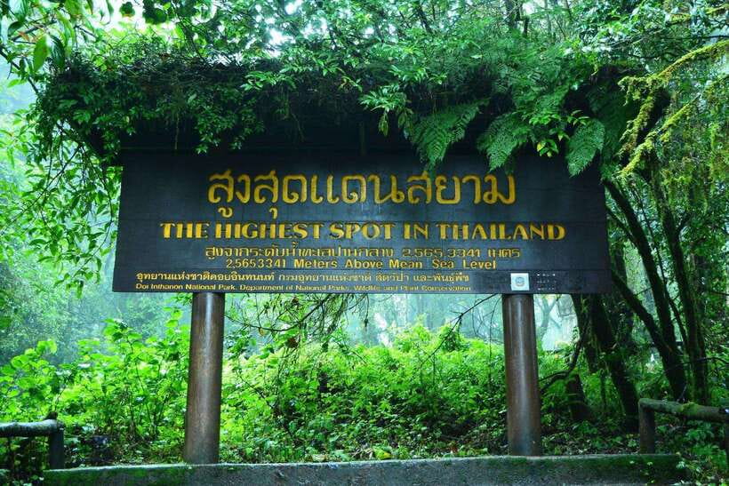 Chiang Mai: Doi Inthanon Park Tour & Kew Mae Pan Trail Hike - Why Doi Inthanon feels like Chiang Mai’s roof