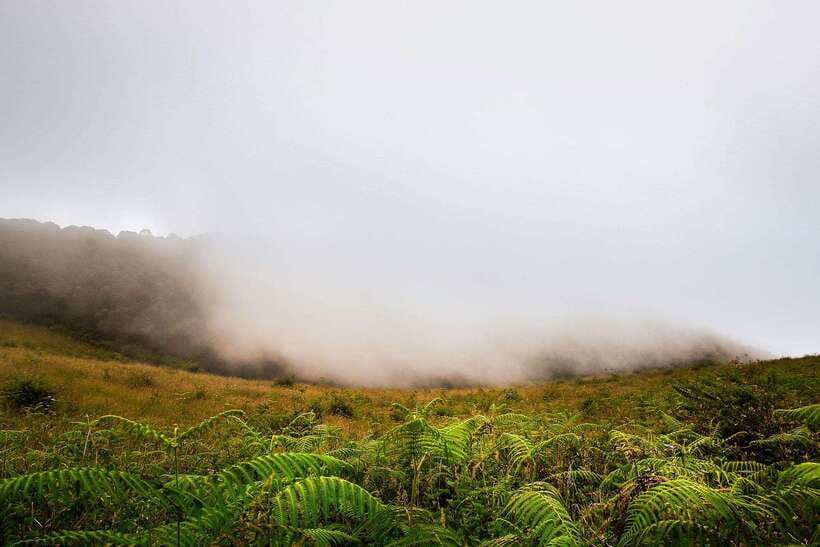 Chiang Mai: Doi Inthanon Park Tour & Kew Mae Pan Trail Hike - Waterfalls, viewpoints, and Thailand’s highest point