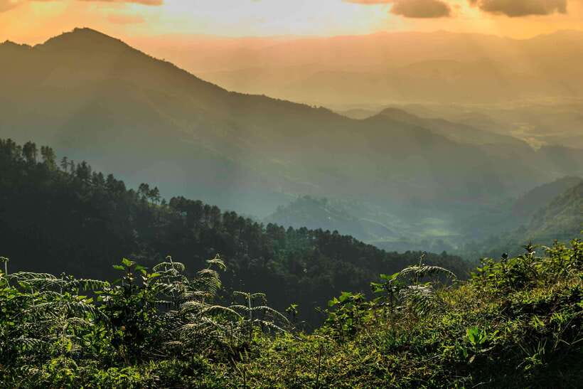 Chiang Mai: Doi Inthanon Park Tour & Kew Mae Pan Trail Hike - Price and value: what $51 really buys, plus the park fee twist