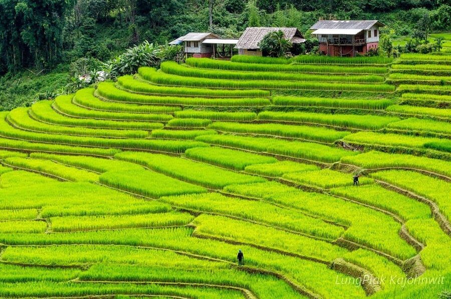 Chiang Mai Doi Inthanon Park Waterfall Pure Sightseeing Tour - Hill tribe market and Sobhad village for Hmong and Karen culture