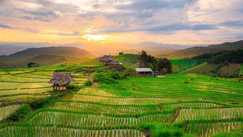 Chiang Mai: Doi Inthanon Trip with Pha Dok Siew Guided Trek - Lunch in the Jungle Rhythm: Set Menu, Karen Hospitality, and Coffee