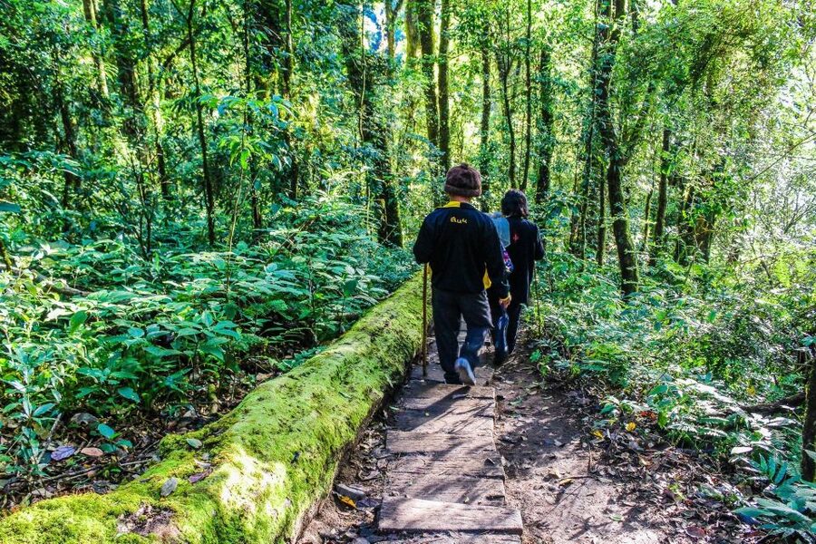 Chiang Mai: Doi Inthanon, Waterfalls, & Tribal Villages Tour - Karen and Hmong Hill Tribes, Markets, and Daily Life Encounters