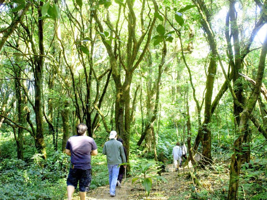 Chiang Mai: Doi Inthanon, Waterfalls, & Tribal Villages Tour - Lunch, Set Menu Reality, and How to Handle It