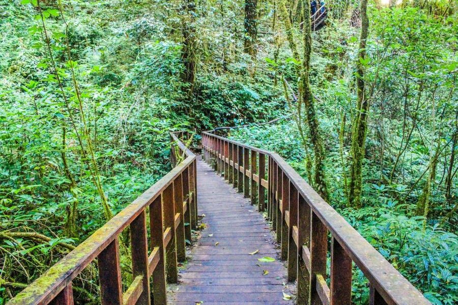 Chiang Mai: Doi Inthanon, Waterfalls, & Tribal Villages Tour - Guide Quality and Vehicle Comfort, What You Can Control