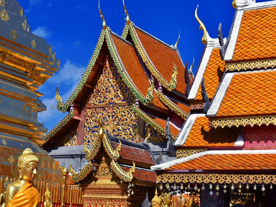 Chiang Mai: Doi Suthep Temple & Sticky Waterfall Trip - Bua Thong Sticky Waterfall, the climb-and-swim highlight