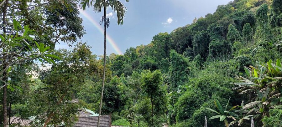 Chiang Mai: Doi Suthep Temple & Sticky Waterfall Trip - Price and logistics, what $76 really covers