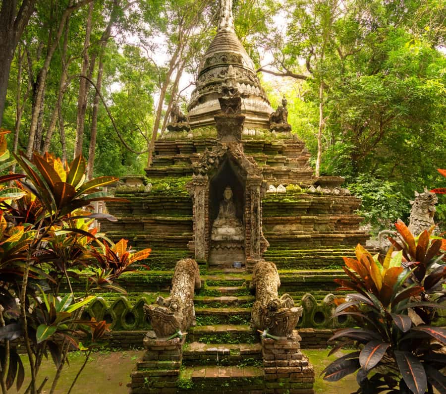 Chiang Mai: Doi Suthep Temple & Sticky Waterfall Trip - Pickup, timing, and why the van ride matters